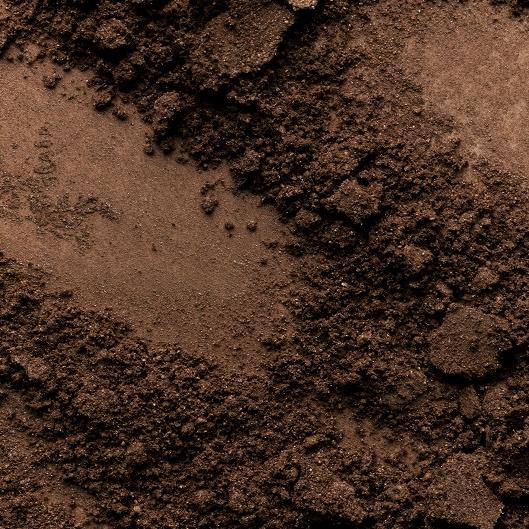 Brow Tint Monthly Glow Package ✨